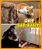 ClawGuard - Pet Anti-Scratch Training Guard (2pc Set)