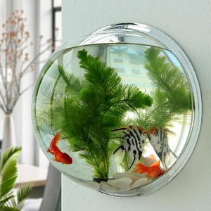 Wallium - Wall Mounted Acrylic Fish Bowl