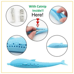 Purfect Teeth - Catnip Filled Silicone Fish Toothbrush