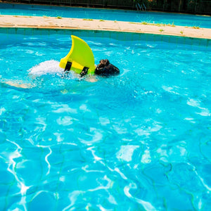 FinTastic - Shark Fin Swimming Aid