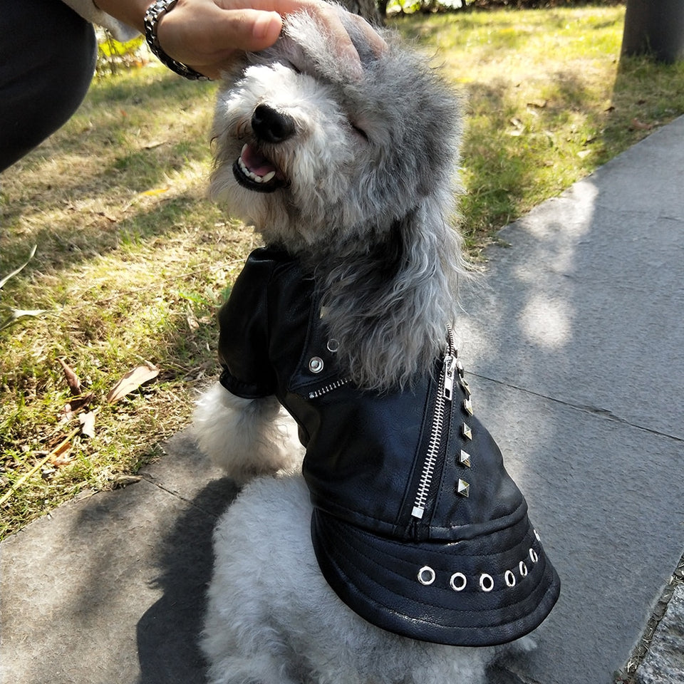 PunkPet - Waterproof Dog Cat Leather Jacket