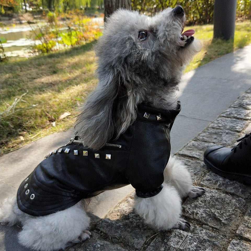 PunkPet - Waterproof Dog Cat Leather Jacket