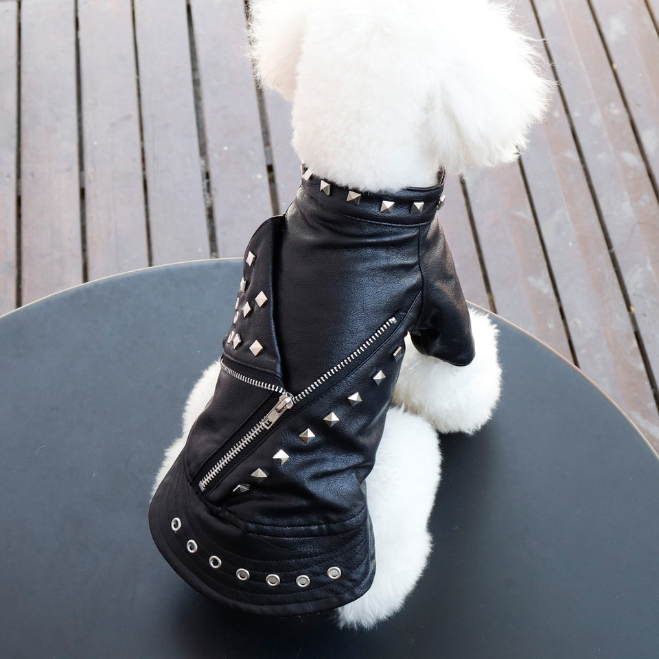 PunkPet - Waterproof Dog Cat Leather Jacket