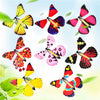 The Magic Surprise Butterflies