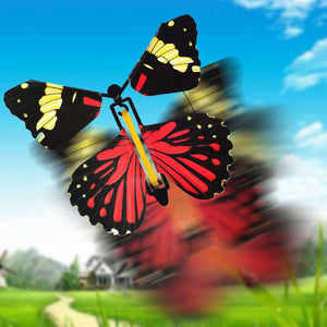 The Magic Surprise Butterflies