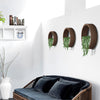 WallVee - Creative Round Wall Mounted Vase