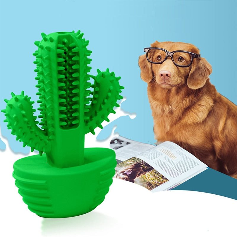 The Cleaning Cactus Dog Brush