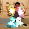 Glow Teddy Bear