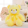Glow Teddy Bear