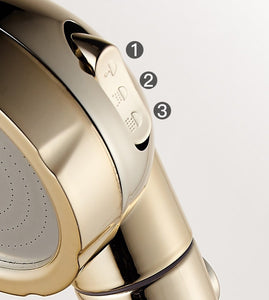 3 In 1 High Pressure Shower head