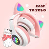 Homeschool Best Bluetooth Headphones 5.0 with mic
